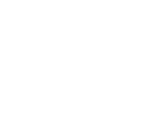 IBS Innovación